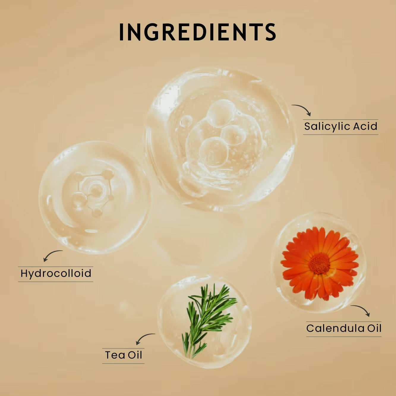 Transform your skincare experience.